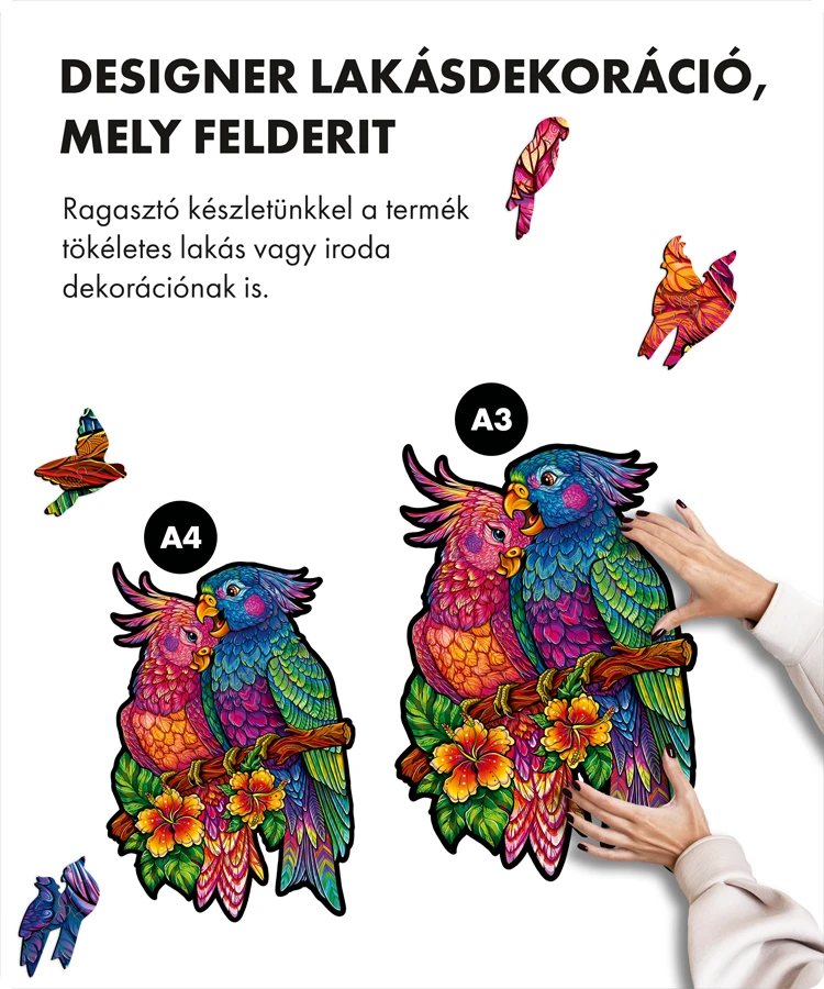 Szerelmes papagájok