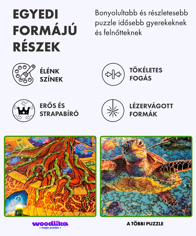 Szerelmes papagájok