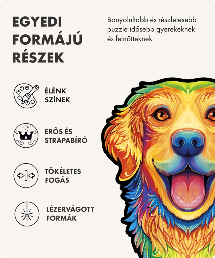 Boldog retriever