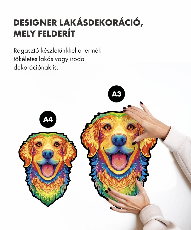 Boldog retriever